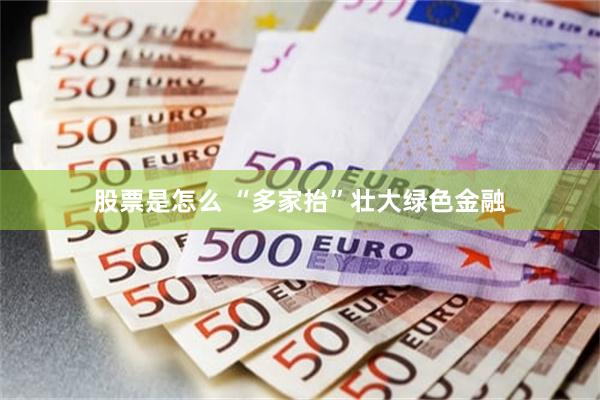 股票是怎么 “多家抬”壮大绿色金融