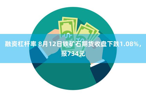 融资杠杆率 8月12日铁矿石期货收盘下跌1.08%，报734元