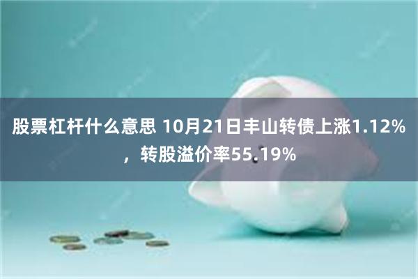 股票杠杆什么意思 10月21日丰山转债上涨1.12%，转股溢价率55.19%