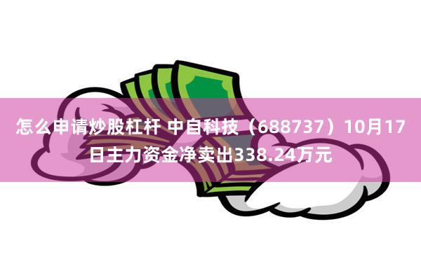 怎么申请炒股杠杆 中自科技（688737）10月17日主力资金净卖出338.24万元