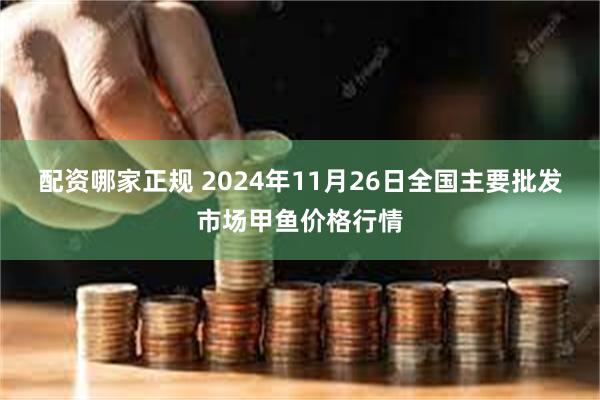 配资哪家正规 2024年11月26日全国主要批发市场甲鱼价格行情