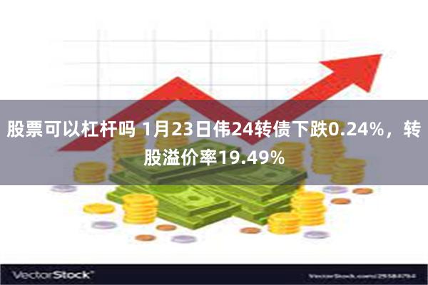 股票可以杠杆吗 1月23日伟24转债下跌0.24%，转股溢价率19.49%